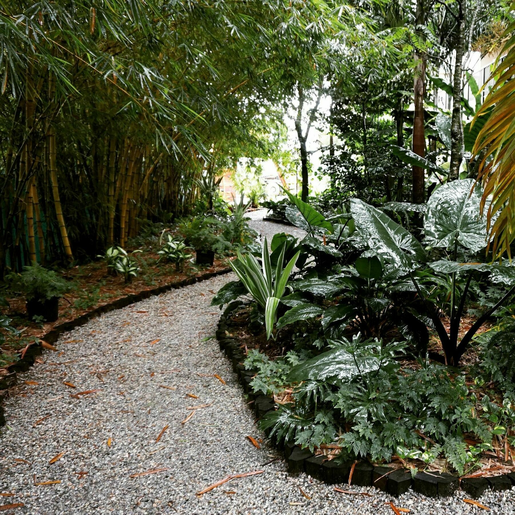 Jacana Amazon Wellness Resort Paramaribo Exterior photo